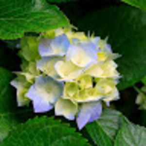 Meet your Posher, Dejah